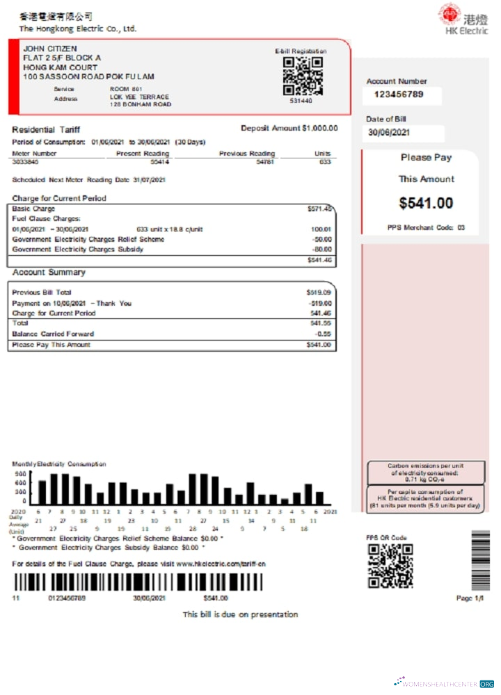 download download Hong Kong Hongkong Electric Company utility bill